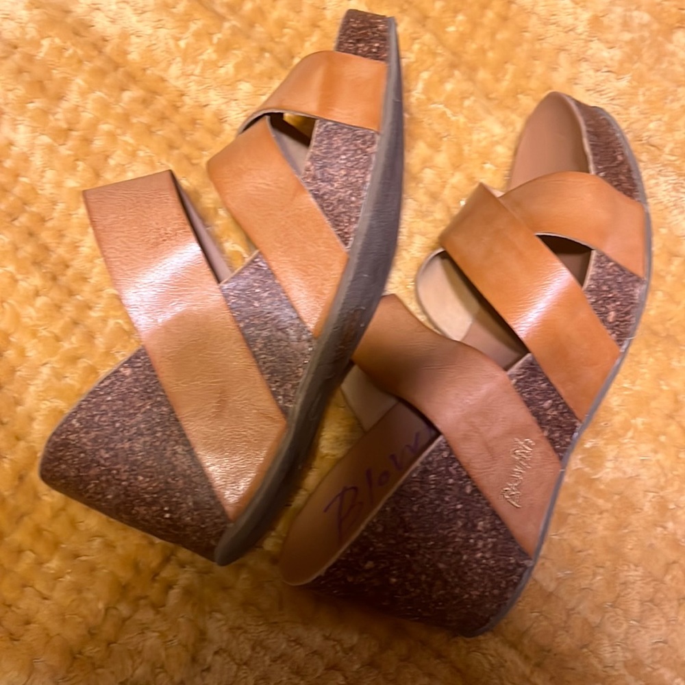 Blowfish Wedges